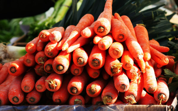 Žalia morkos viršūnė gąsdina ne vieną: ar ją dar saugu valgyti, ar geriau išmesti?