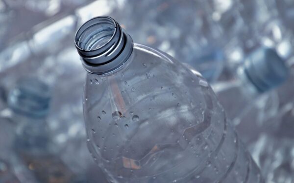 Neišmeskite plastikinių butelių: ši gudrybė pavasarį išgelbės jūsų daigus nuo šalčio