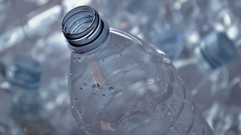 Neišmeskite plastikinių butelių: ši gudrybė pavasarį išgelbės jūsų daigus nuo šalčio