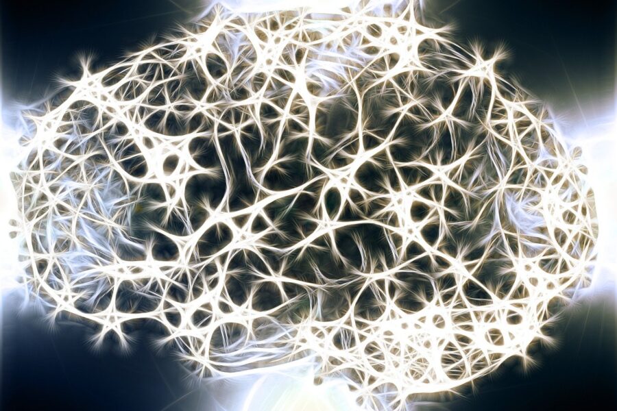 neurons, brain cells, brain structure, brain, network, wattle, yarn, tissue, meshwork, entanglement, knot, web, meshes, ribbon, loop, sloop, neurons, brain, brain, brain, brain, brain