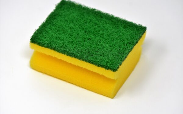 Daigai džiūsta arba pūva? Paprasta virtuvinė kempinė išgelbės jūsų būsimą derlių