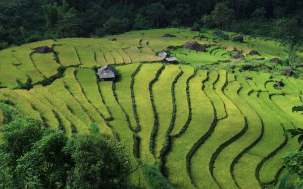 Kodėl verta skristi į Vietnamą būtent kovą? Dabar poilsis kainuoja iki ketvirtadalio pigiau