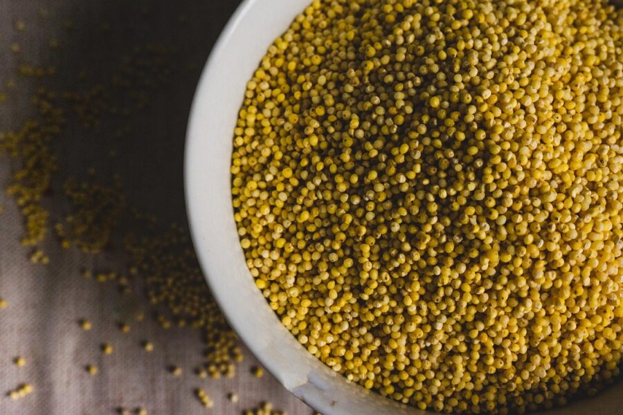 millet, groats, corn, food, cereal, millet, millet, millet, millet, millet