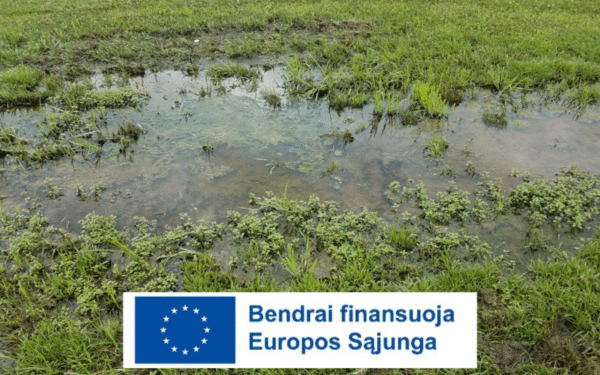 Marijampolė investuoja į saugumą: potvynių rizika bus ženkliai sumažinta, jau imasi priemonių