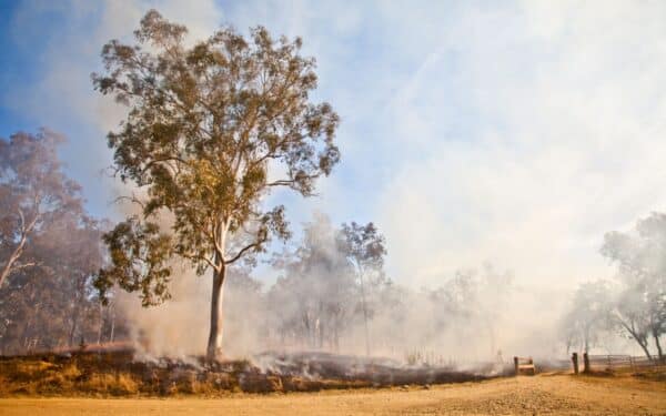 Australijoje gyvybei pavojinga situacija: ugniagesiai įsako skubiai evakuotis