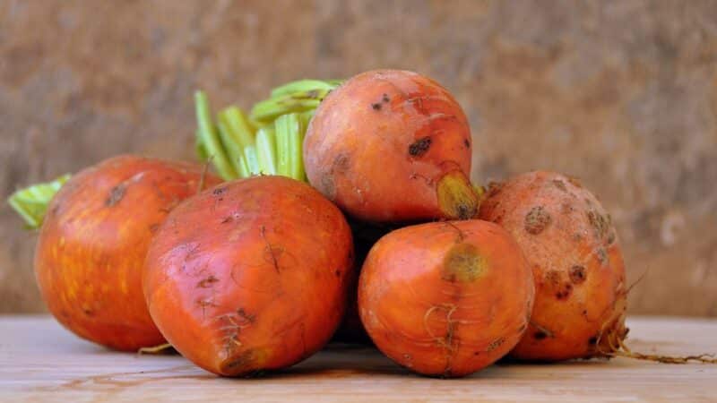 Šios daržovės nauda šokiravo gydytojus: valo kraują ir tirpdo riebalus