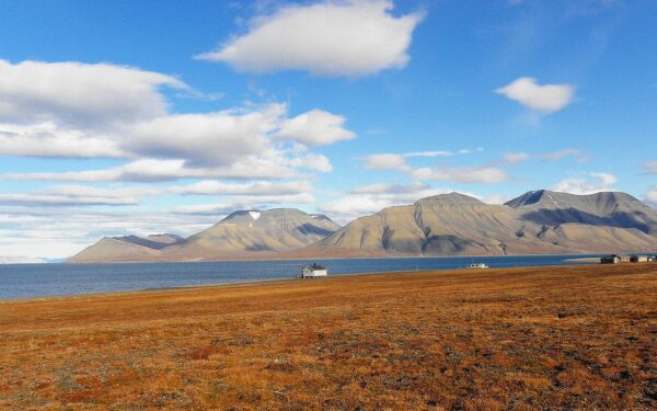 Arktį gali užplūsti tūkstančiai naujų rūšių: mokslininkai įspėja apie grėsmę