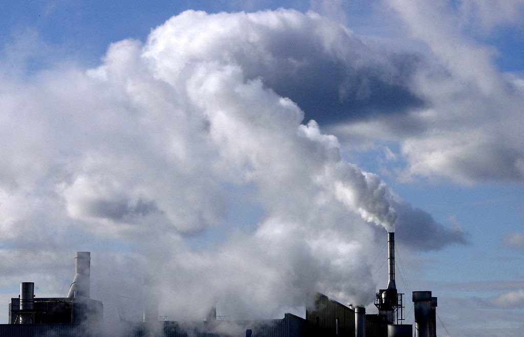 Sveikata pavojuje: ši nematoma grėsmė prie namų gali sukelti nepagydomą nervų ligą