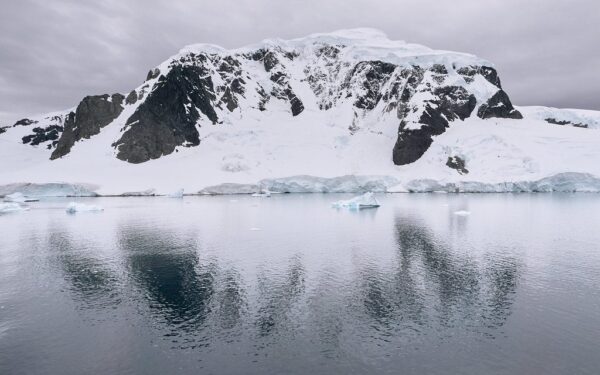 Dinozaurų epochą menanti mįslė: mokslininkai Antarktidos gelmėse rado kai ką neįtikėtino