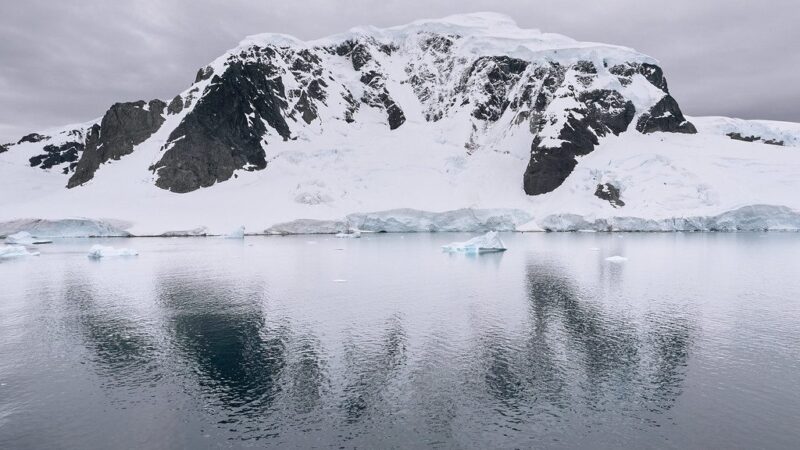 Dinozaurų epochą menanti mįslė: mokslininkai Antarktidos gelmėse rado kai ką neįtikėtino