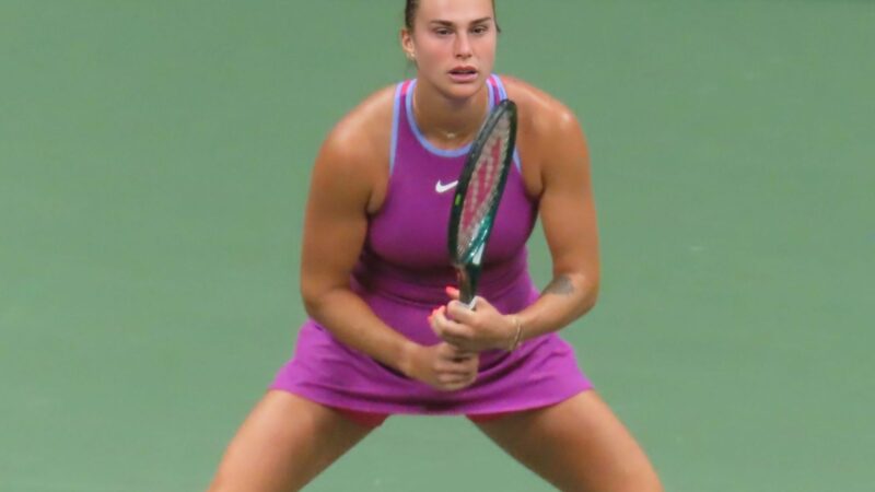 Deimantas ant piršto: sužinokite, kaip atrodo teniso žvaigždės išsvajotos sužadėtuvės