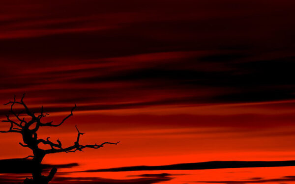 Irano protestai virto skerdynėmis: patvirtintas aukų skaičius artėja prie 6 tūkst.