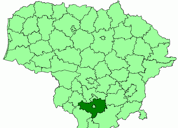 Alytuje susitikę pasaulio alytiškiai atskleidė netikėtus planus: grįžtantys žmonės keičia miesto ateitį