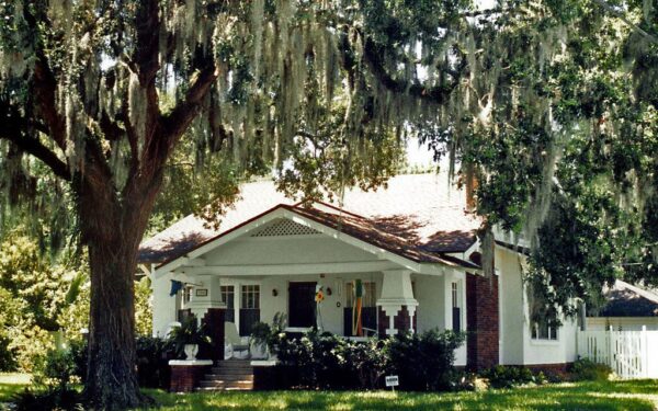 Klaida, kuri kainuos tūkstančius: sužinokite, kokie populiarūs medžiai slapta ardo namo pamatus