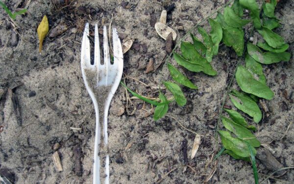 Neišmeskite plastikinių šakučių: šis pigus triukas padės apsaugoti jūsų derlių