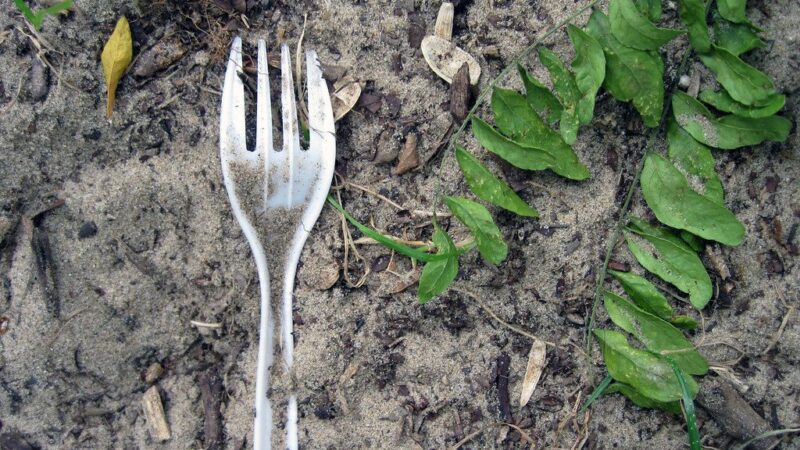 Neišmeskite plastikinių šakučių: šis pigus triukas padės apsaugoti jūsų derlių