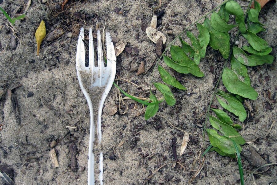 Neišmeskite plastikinių šakučių: šis pigus triukas padės apsaugoti jūsų derlių