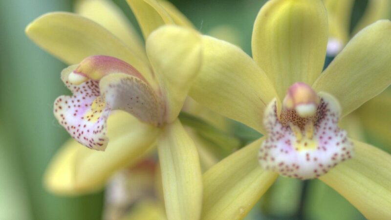 Dienos horoskopas penktadieniui: sužinokite, kas šią dieną gali nulemti jūsų sėkmę ir klaidas