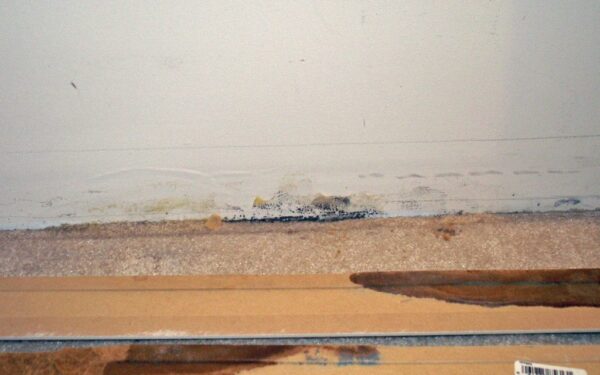 Po žiemos bute atsirado pelėsis? Pigi namų priemonė gali jį nuvalyti per minutę