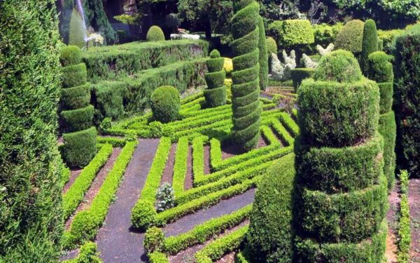 Jūsų kiemas atrodo nuobodžiai? Atskleidė paslaptį, kaip patiems sukurti įspūdingas sodo formas