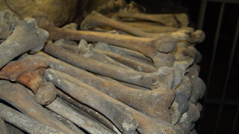 Maroke rasti 773 tūkst. metų senumo kaulai gali perrašyti žmonijos istoriją: tai, ko mokslas ilgai ieškojo