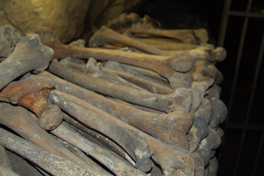 Maroke rasti 773 tūkst. metų senumo kaulai gali perrašyti žmonijos istoriją: tai, ko mokslas ilgai ieškojo