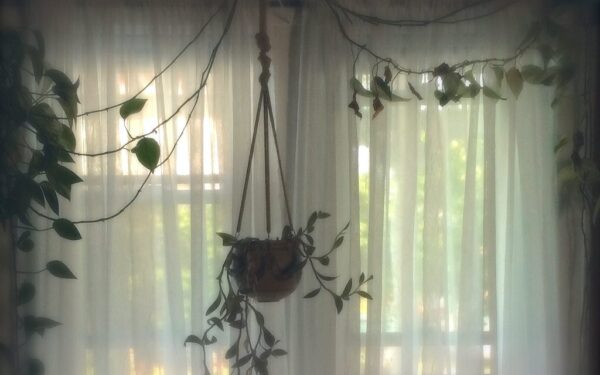 Neskubėkite pirkti naujo tiulio: atskleista pigi gudrybė, kaip sugrąžinti užuolaidoms pirminį baltumą