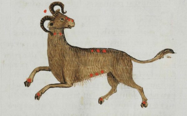 Ne visi sprendimai rytoj bus teisingi: žvaigždės 7 zodiako ženklams siunčia aiškų įspėjimą