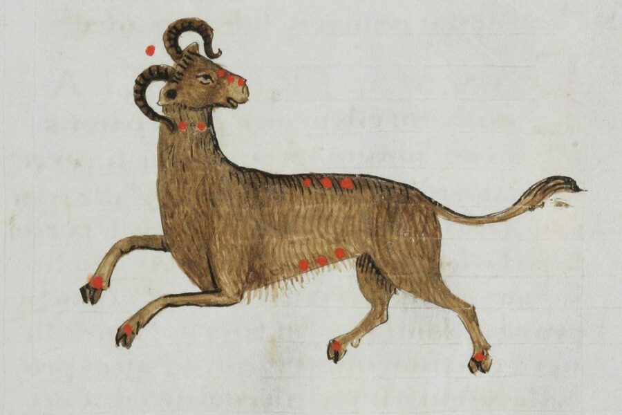 Ne visi sprendimai rytoj bus teisingi: žvaigždės 7 zodiako ženklams siunčia aiškų įspėjimą