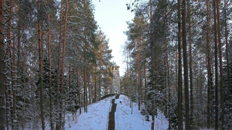 Pritrūkote idėjų žiemos savaitgaliams? Anykščiai siūlo 10 skirtingų veiklų