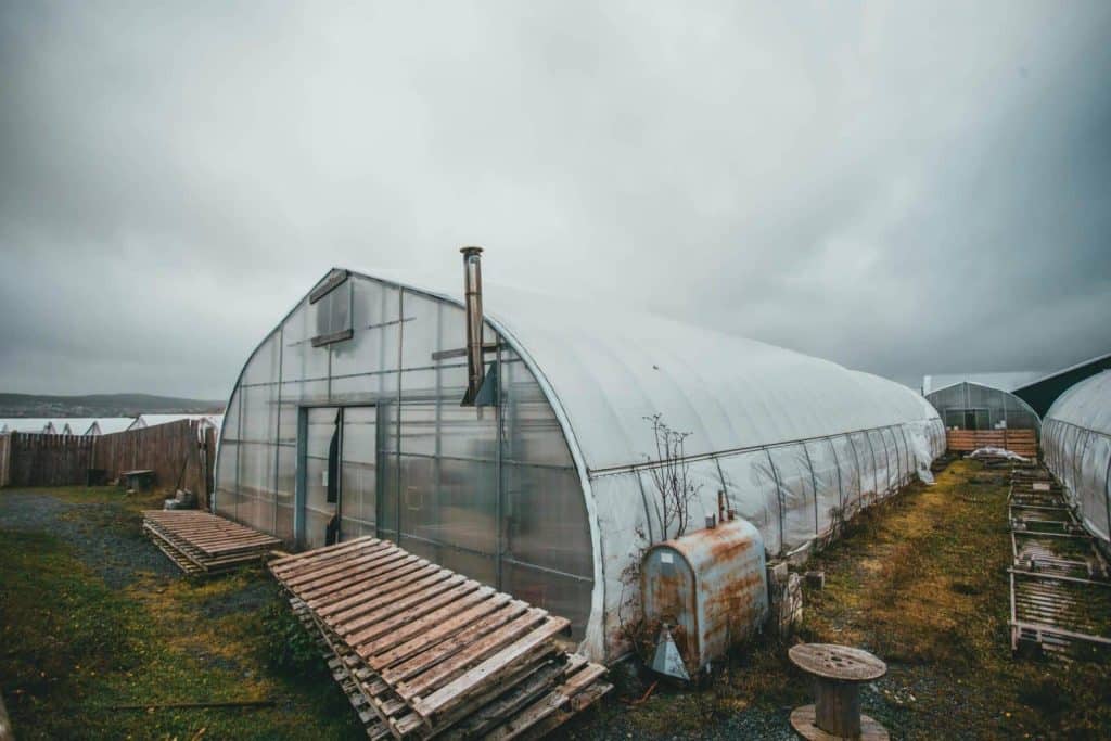 A large rural greenhouse surrounded by wooden pallets under an overcast sky, capturing the essence of modern agriculture.