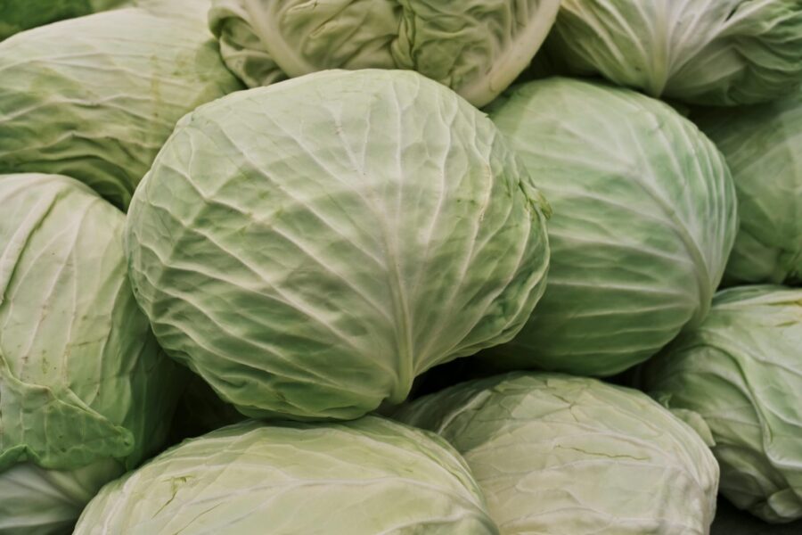 Kpūstai. Pexels nuotr.