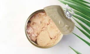 Open can of tuna on a light background with a decorative leaf. Ideal for food packaging visuals.