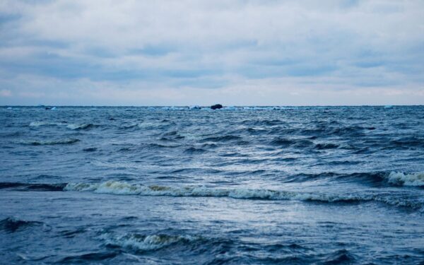 Neįtikėtinas radinys Baltijos jūroje: sužinokite, kokią paslaptį slėpė nuskendęs „Boeing B-17“