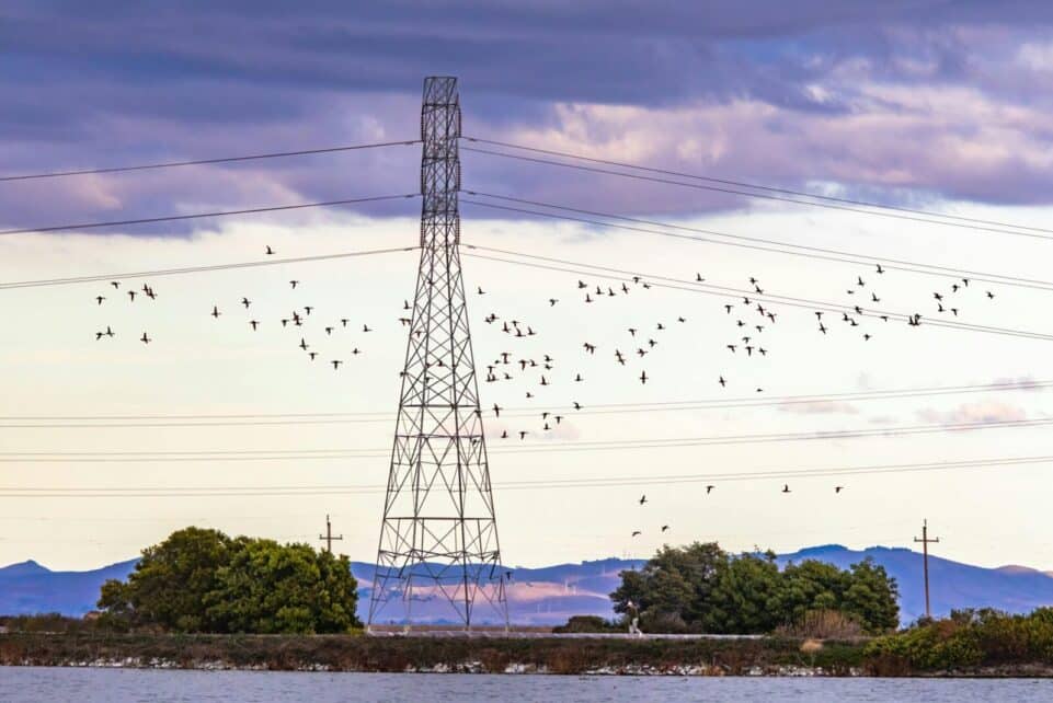 A scenic view of birds flying near a transmission tower amidst mountains and clouds.