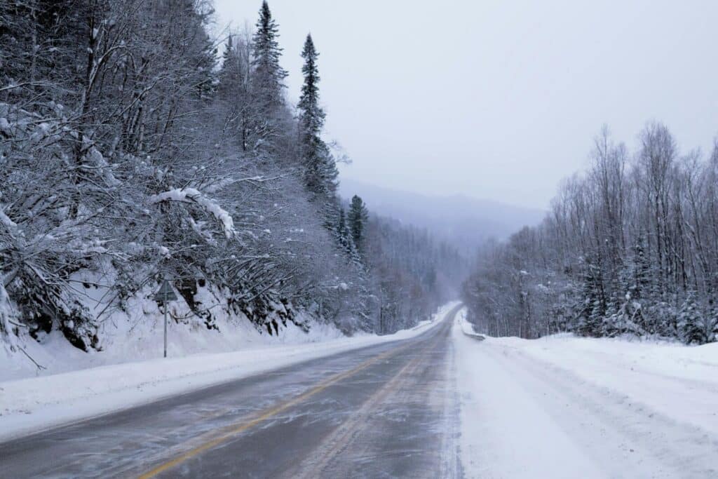 A quiet snowy road winding through a winter forest, lined with snow-laden trees.