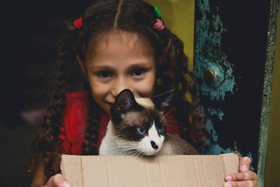 A joyful young girl with braids and a smiling face holding a box with a cat inside.