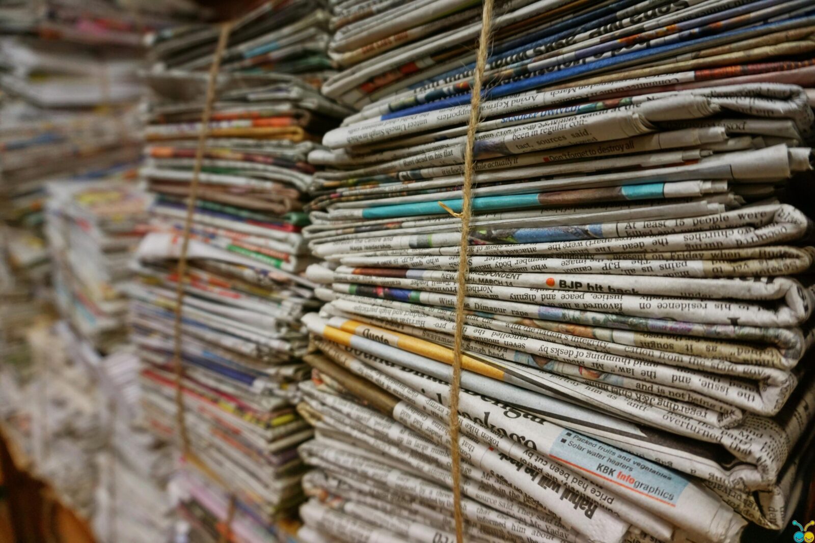 Nemeskite senų laikraščių: ši gudrybė padės pamiršti piktžoles ir sutaupyti krūvą pinigų