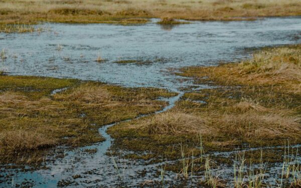 Šis mįslingas radinys Bulgarijoje griauna mokslo teorijas: ar mūsų ištakos yra visai ne Afrikoje?