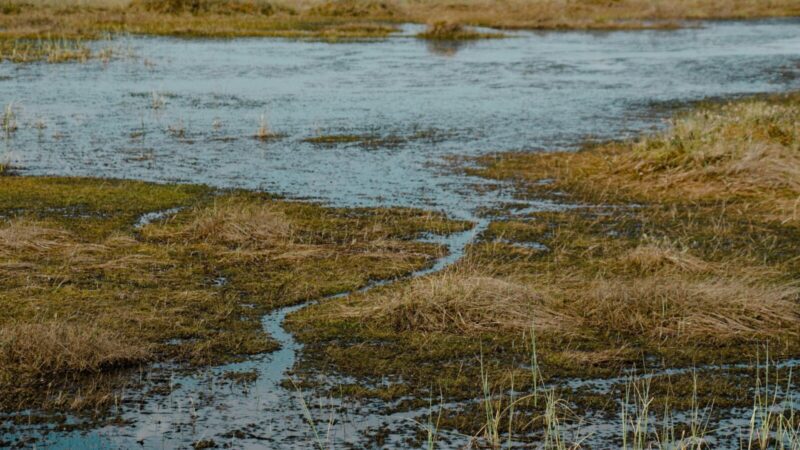 Šis mįslingas radinys Bulgarijoje griauna mokslo teorijas: ar mūsų ištakos yra visai ne Afrikoje?