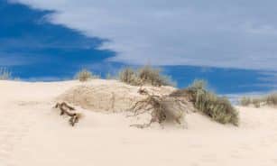Serene view of sand dunes at White Sands, NM under a blue sky.