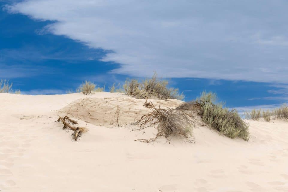 Serene view of sand dunes at White Sands, NM under a blue sky.