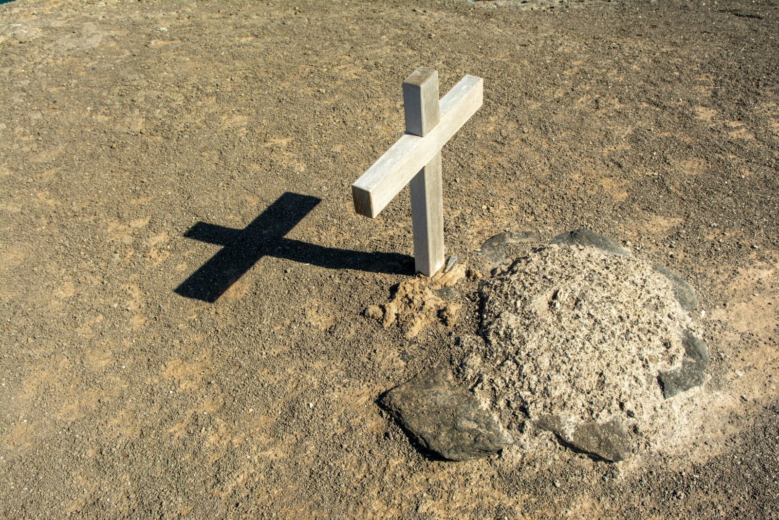 Archeologų mįslė Švedijoje: vaiko kapas su paukščių plunksnomis glumina tyrėjus