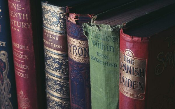 Lietuvių literatūros ir tautosakos institutas ieško vadovo: paskelbtas konkursas, laukiama paraiškų