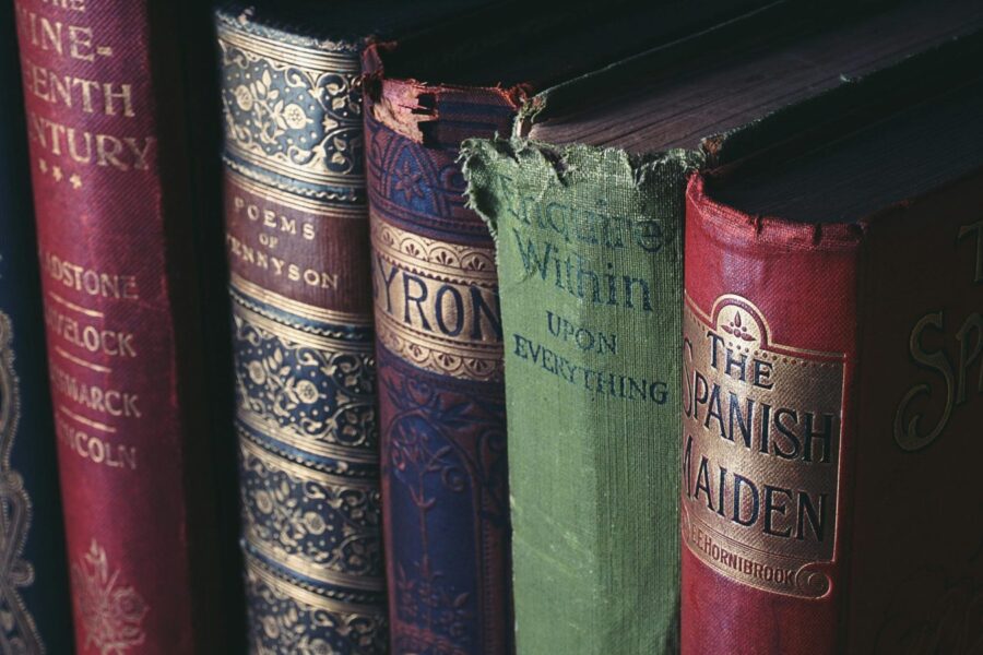 Lietuvių literatūros ir tautosakos institutas ieško vadovo: paskelbtas konkursas, laukiama paraiškų