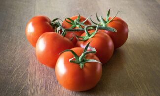 Ripe red tomatoes on a wooden table, showcasing their vibrant color and freshness.