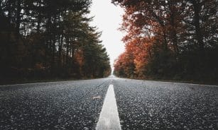 A peaceful country road lined with autumn trees, offering a serene travel scene.
