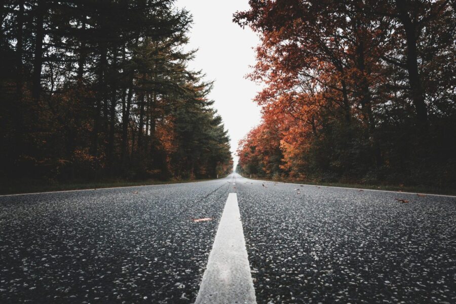 A peaceful country road lined with autumn trees, offering a serene travel scene.