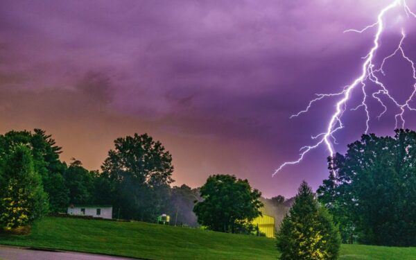 Nematomas reiškinys miškuose per audrą: kodėl medžių viršūnės ima švytėti?