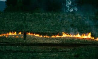 A field being burned for land management purposes with a solitary figure overseeing the flames.